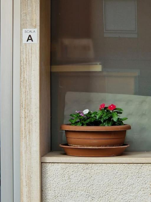 La Casa Di Gio Apartment Тирано Екстериор снимка